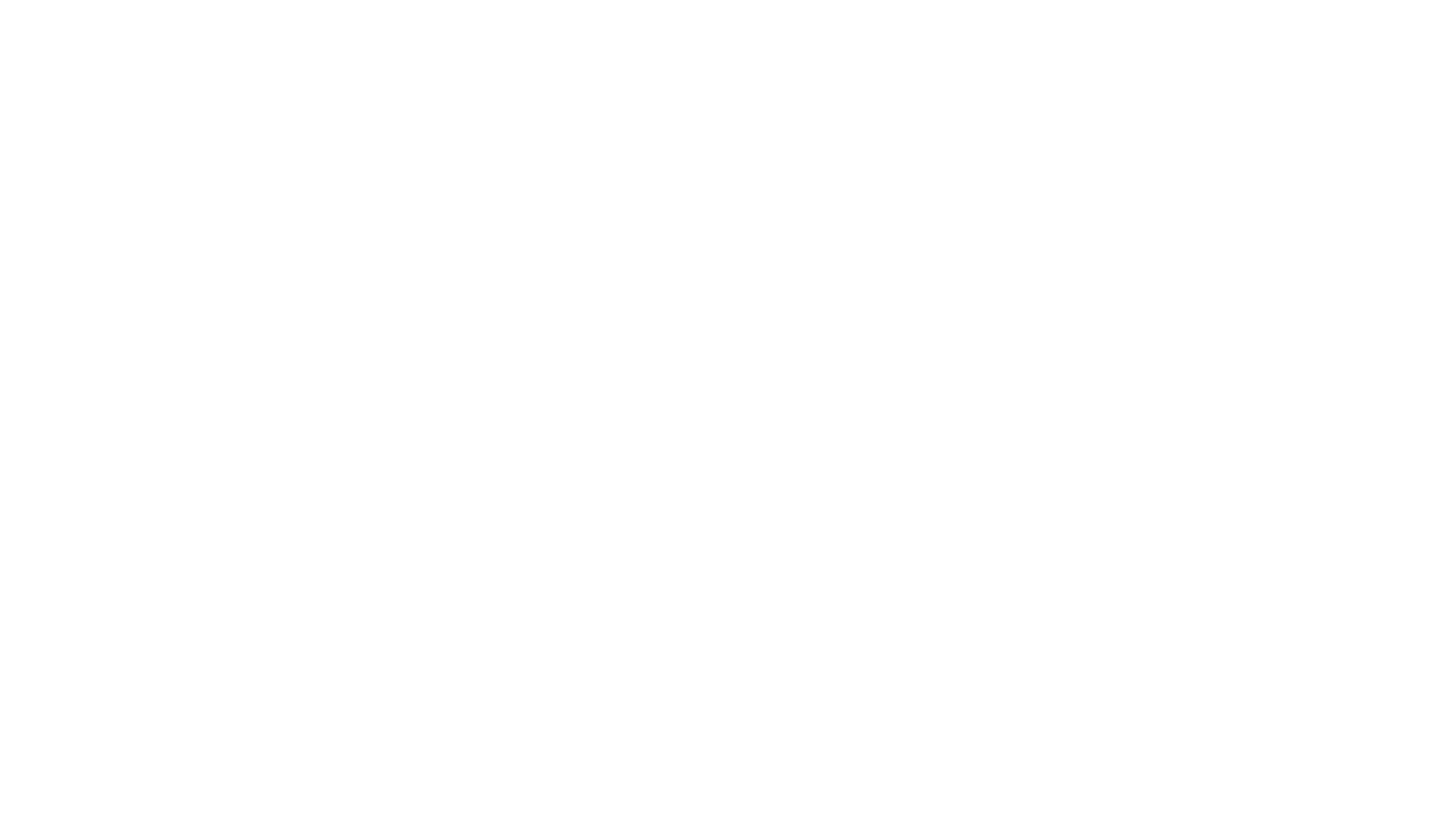 ToppTräningsresor Logo